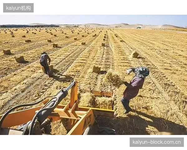 中国反兴奋剂中心ADAMS系统完成升级，对齐WADA全球准则与中国《个保法》双重监管要求